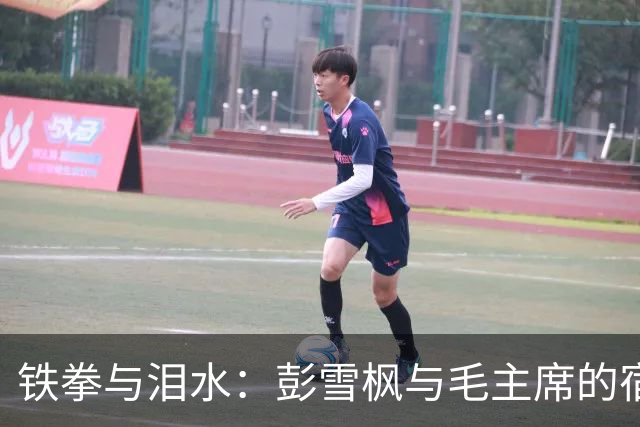 铁拳与泪水：彭雪枫与毛主席的宿命之战